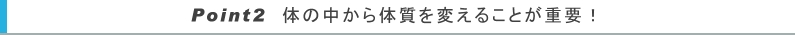 最新売り筋商品