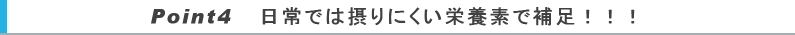 バイヤーオススメ商品